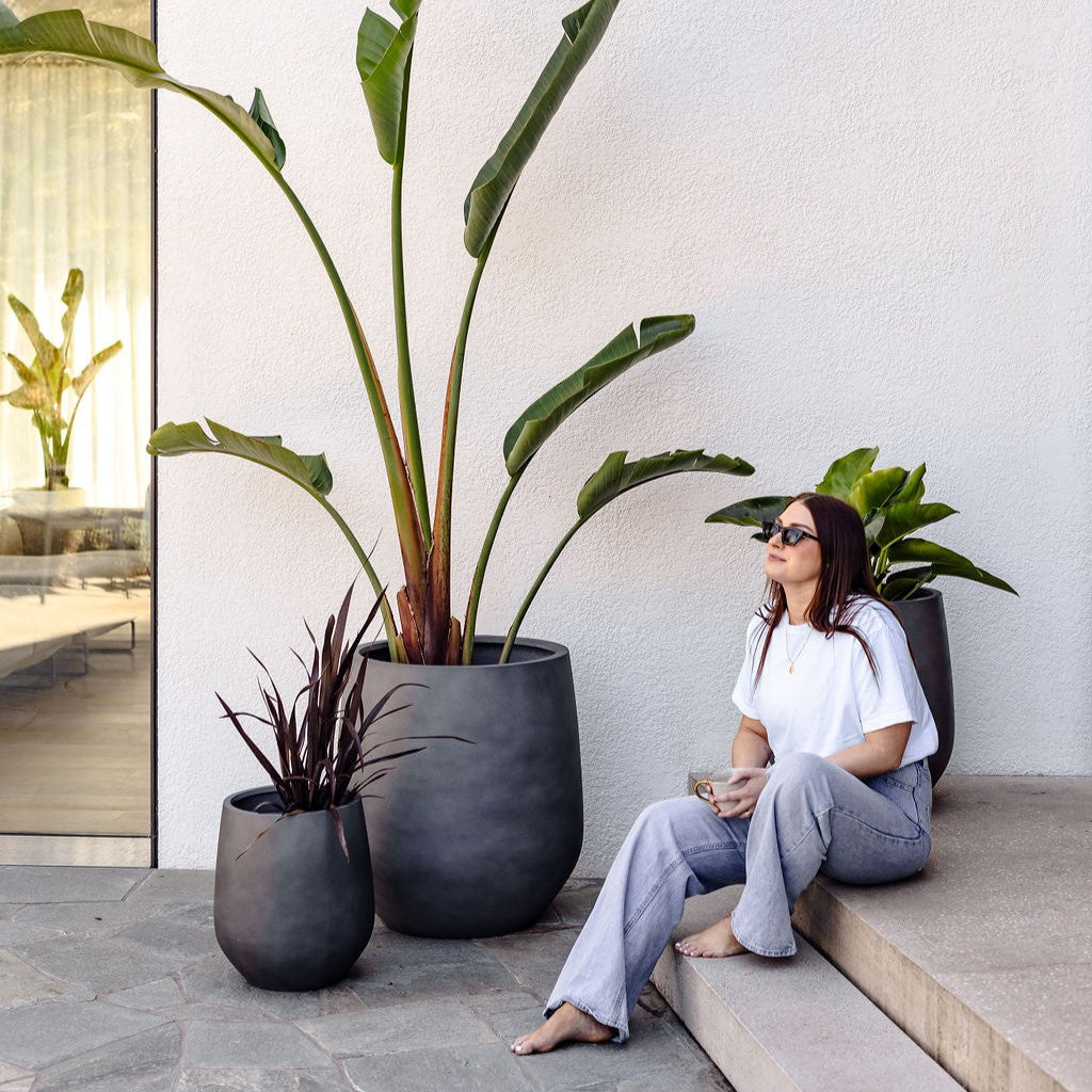 JITT The Balcony Garden