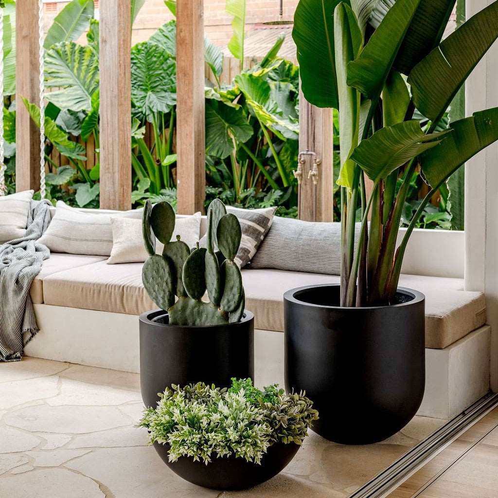 Straight Up The Balcony Garden