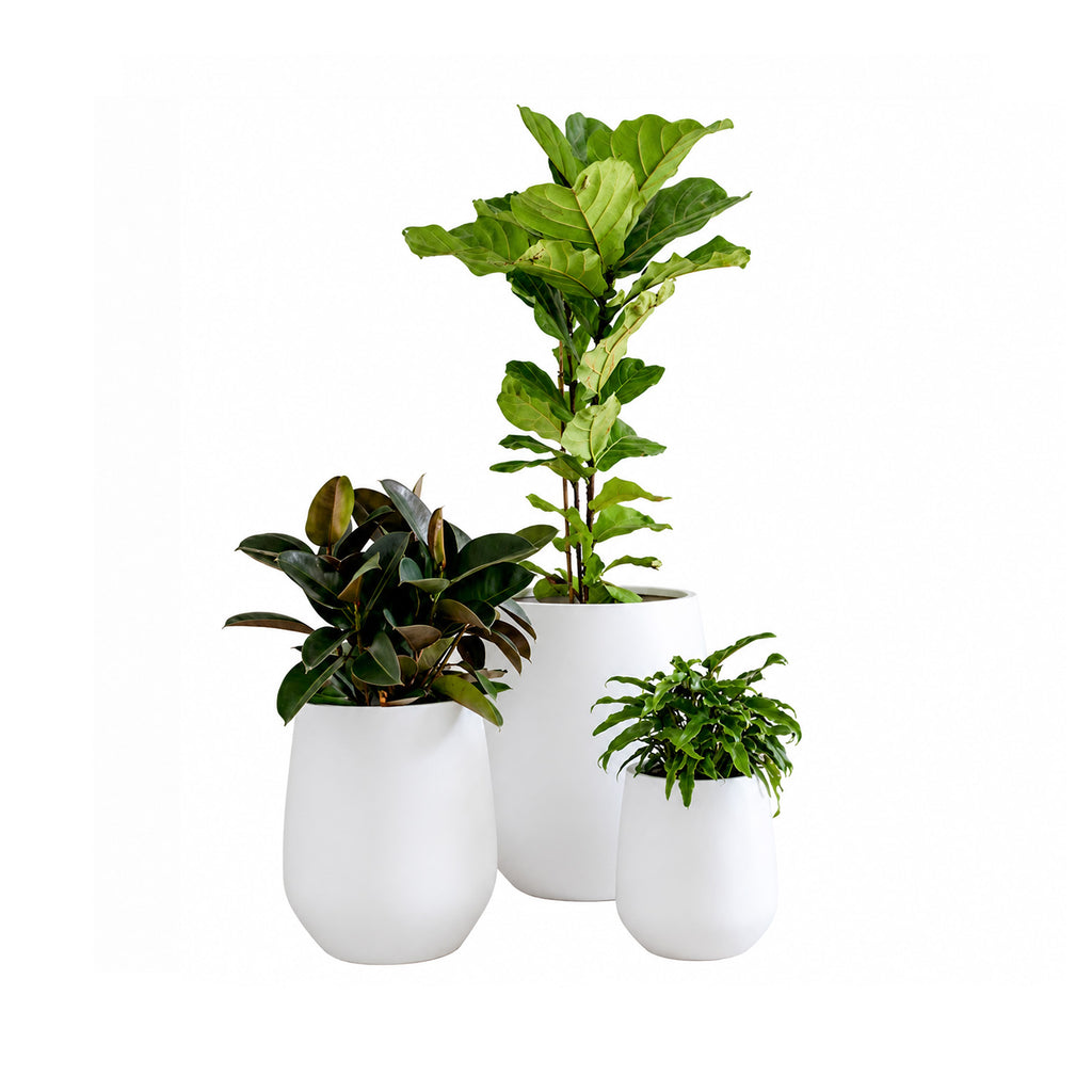 The Grove Planter - Modern Indoor & Outdoor Plant Pot The Balcony Garden