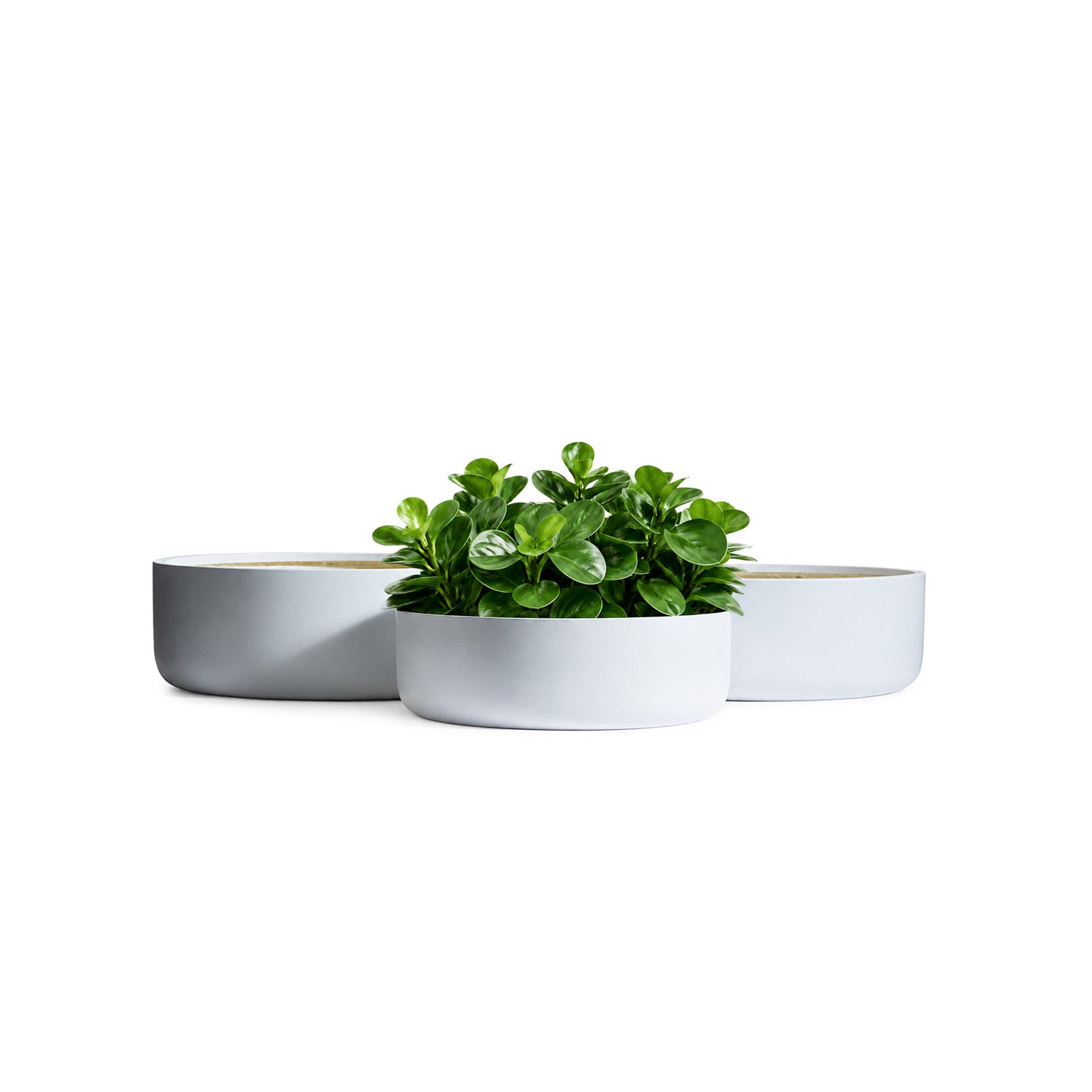 The Gather Planter - Modern Low Indoor Plant Pot The Balcony Garden