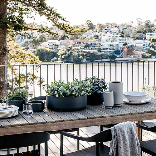 Tops Off The Balcony Garden