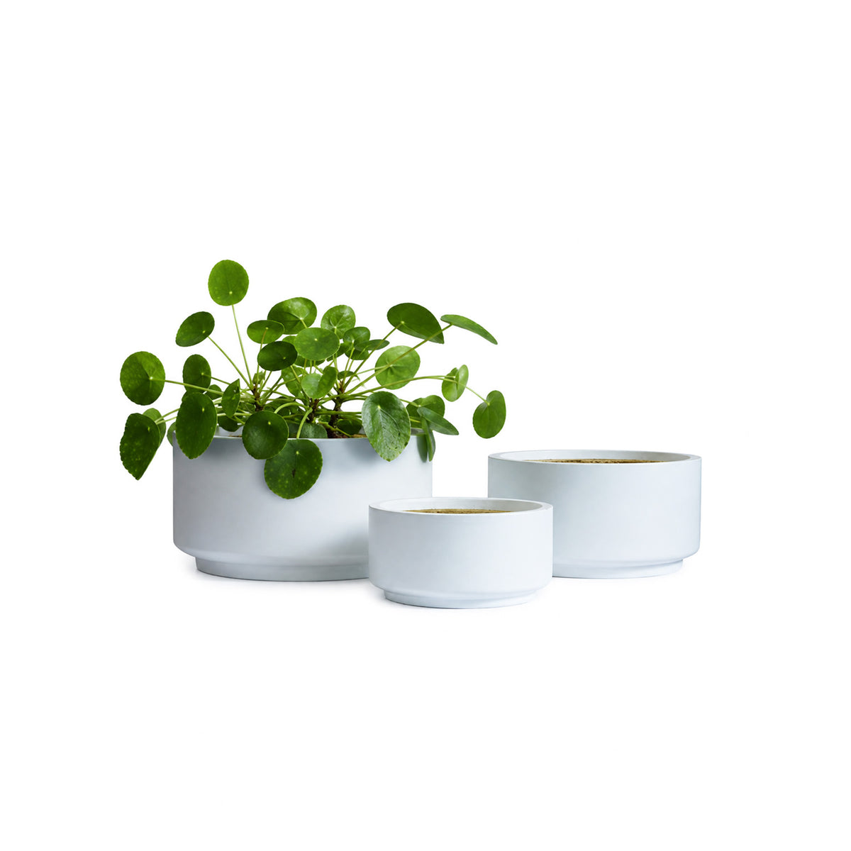 The Nook Planter - Modern Low Indoor Planter The Balcony Garden